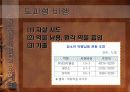 [교육사회학] 청소년의 문제행동 17페이지