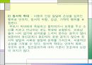 아동학대 파워포인트 13페이지