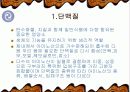 단백질의 기능과 종류 및 운동 4페이지