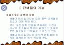 단백질의 기능과 종류 및 운동 5페이지