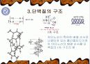 단백질의 기능과 종류 및 운동 10페이지
