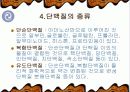 단백질의 기능과 종류 및 운동 14페이지