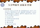 단백질의 기능과 종류 및 운동 21페이지