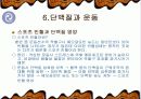단백질의 기능과 종류 및 운동 32페이지