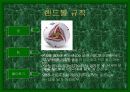 핸드볼에 대한 정리 5페이지