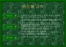 핸드볼에 대한 정리 7페이지