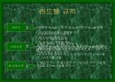 핸드볼에 대한 정리 8페이지
