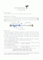 일상 생활 속 과학적 논리 찾기 - 스피드 건 1페이지