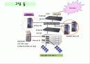 네트워크 의 구성 알아보기 37페이지