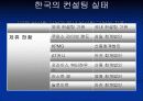 딜로이트 컨설팅사 분석 8페이지