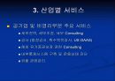딜로이트 컨설팅사 분석 32페이지