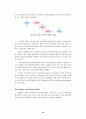 인터넷마케팅 12페이지