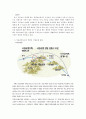 국토개발과 환경파괴의 사례와 대책 3페이지