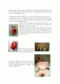 변기의 시대적 디자인의 변천사 6페이지