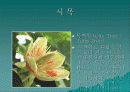 지역사회 프레젠테이션(인천에 대해 알아 보도록 하자) 9페이지
