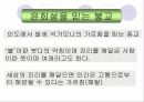 세계의 종교 5페이지