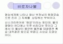 세계의 종교 9페이지