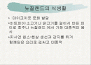뉴질랜드의 생활 2페이지