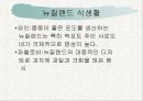 뉴질랜드의 생활 3페이지