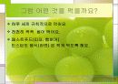 비만의 원인과 대책 15페이지