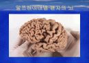 치료할 수 있는 병, 치매 19페이지