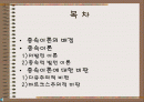 남미의 종속이론 파워포인트자료 2페이지