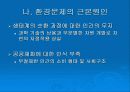 환경 문제와 그 해결 방안 11페이지