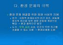 환경 문제와 그 해결 방안 13페이지