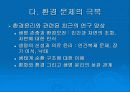 환경 문제와 그 해결 방안 16페이지