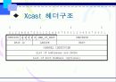 Xcast(Explicit Multicast) 11페이지