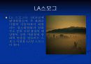 대기오염의 원인과 대책 5페이지