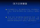 대기오염의 원인과 대책 7페이지