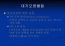 대기오염의 원인과 대책 8페이지