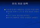 대기오염의 원인과 대책 10페이지