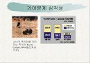 기아문제와 해결방안 5페이지