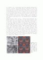 Good design & Bad design 5페이지