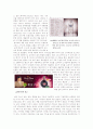 Good design & Bad design 12페이지