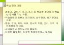 장애아동의 실태 및 보육 10페이지