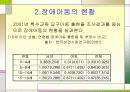 장애아동의 실태 및 보육 11페이지