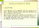 장애아동의 실태 및 보육 17페이지