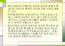 장애아동의 실태 및 보육 27페이지