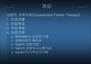 경험적가족치료 2페이지