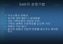 경험적가족치료 9페이지
