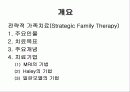 전략적가족치료 2페이지