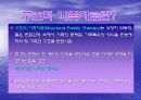 구조적 가족치료 3페이지