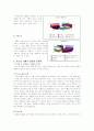 청소년 가출의 실태와 문제점-외국사례 포함 10페이지