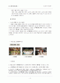 노년기의 여가교육 13페이지