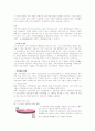 리퍼 제품 판매 사업-창업 계획서(A+레포트)★★★★★ 12페이지
