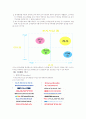 리퍼 제품 판매 사업-창업 계획서(A+레포트)★★★★★ 39페이지