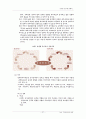 공무원 보수에 관한 레포트 27페이지